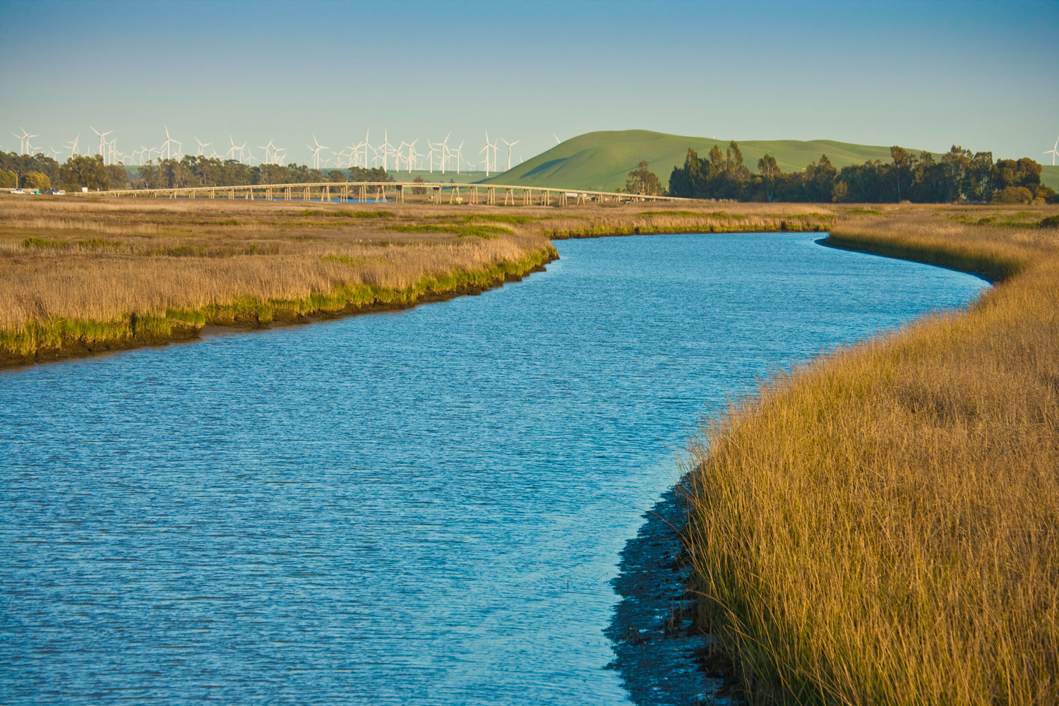 Windmills, California