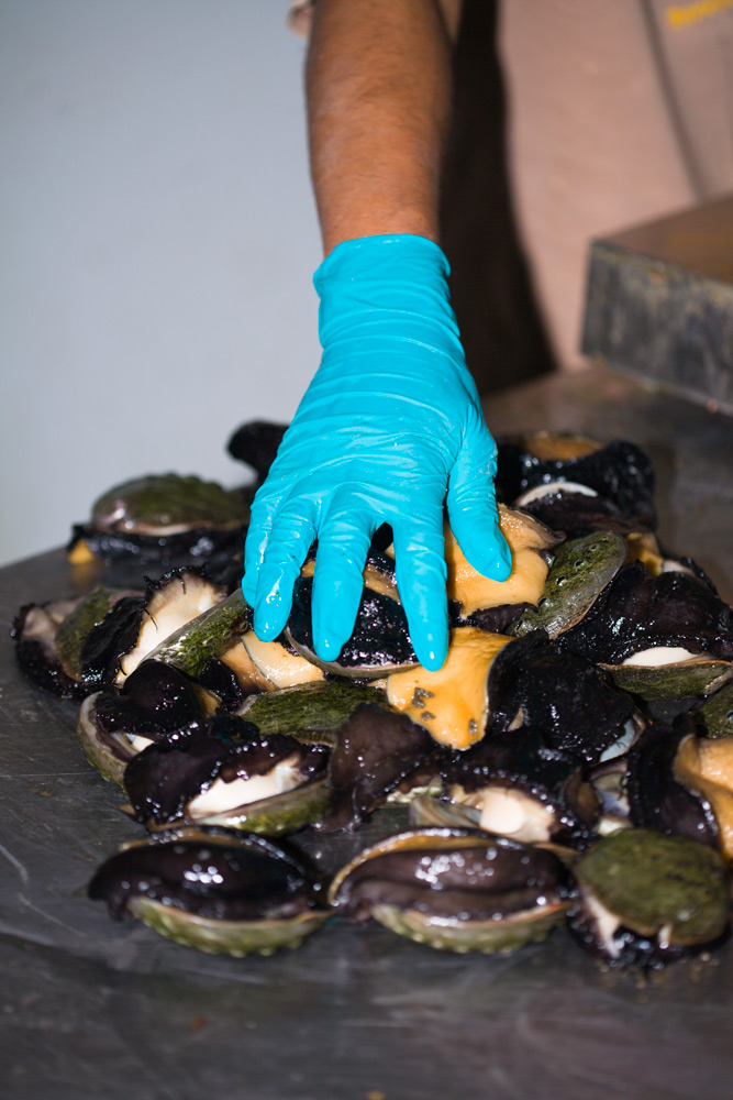 Abalone, California