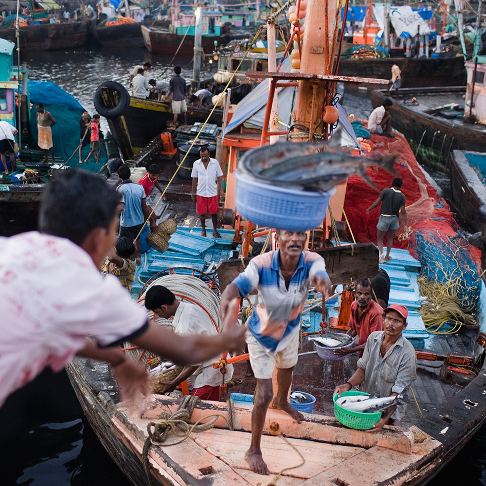 Mumbai Docks