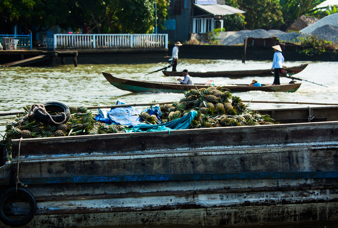 Pineapples, Mekong Delta