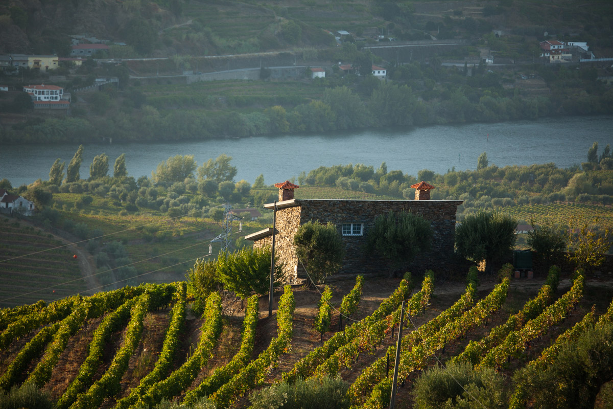 Duoro Valley River, Portugal